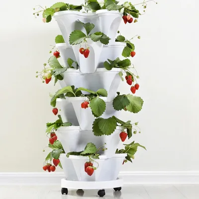 Immagine prodotto di Confezione da 6 vasi impilabili per il fai da te Articoli da giardino Vaso per fragole Vaso da fiori Vaso da fiori Torre in plastica con vassoio Vaso da giardino