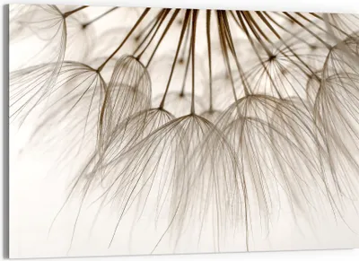 Produktbild von DEQORI Glasbild Echtglas 90x60 cm 'Pusteblumenpoesie' Wandbild Bild modern Deko