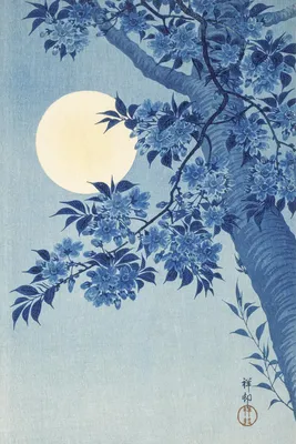 Produktbild von Plakat 40x60cm Blühende Kirsche, Japanischer Koson Vintage für das Wohnzimmer