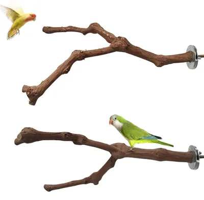 Productafbeelding van 2 stuks natuurlijk druivenhout zitstokken voor vogels