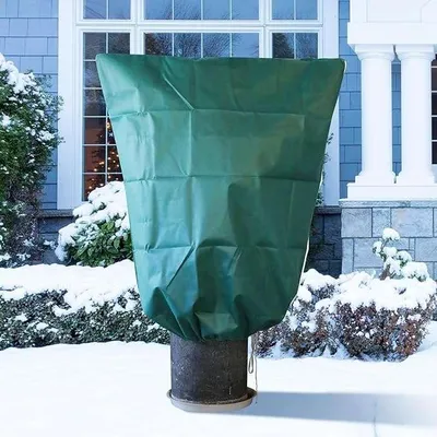 Produktbild von Winterabdeckung für Pflanzen, 70 g/m², Schutzhülle 120 x 180 cm, grün