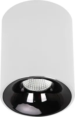Obrázek produktu pro Moderní černobílý kulatý stropní bodový světlomet Ø 6 cm, LED 5 W s nastavitelnou barvou světla TOM Light Prestige