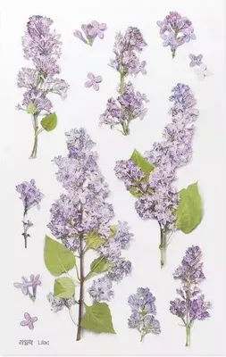 Produktbild von Dekorative Blumenaufkleber Flieder Lilak