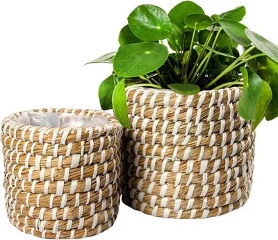 Immagine prodotto di Set di 2 vasi rotondi per fiori bianco-beige