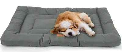 Produktbild von MERSJO Hochwertiges Hundebett für Große und Mittelgroße Hunde - Katzenbett - Wasserdicht - Grau - 76x46 cm