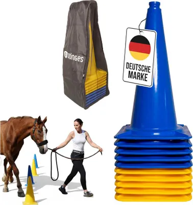 Produktbild von Dönges XXL-Pylonen 10er-Set, blau/gelb mit Transporttasche (Agility Leitkegel)