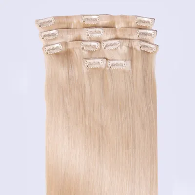 Produktbild von chaarmant Clip In Extensions Echthaar 40 cm 50 g – Haarverlängerung Mix #60/10 Hellblond/Aschblond