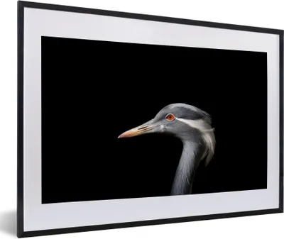 Produktbild von MuchoWow® Gerahmtes Poster Vogel - Tiere - Porträt 60x40 cm - Poster mit Schwarzem Bilderrahmen Wandposter Rahmen Foto Bilder