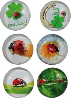 Produktbild von Fröhlicher Marienkäfer-Kühlschrankmagnet aus Glas