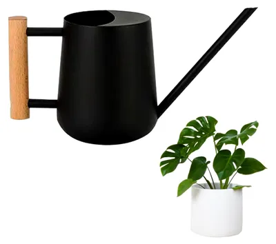 Produktbild von 1L Gießkanne aus Edelstahl für Pflanzen im Innen- und Außenbereich, Bonsai mit langem Ausguss und Holzgriff