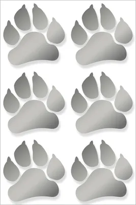 Produktbild von 6er Set Aufkleber Tier-Pfoten-Abdruck I kfz_277 anthrazit I 5 x 5 cm I Hunde-Pfoten Katzen-Pfoten I für Kfz Motorrad Roller Laptop Handy I wetterfest
