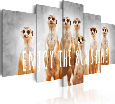 Produktbild von Modernes Wandbild g-A-0087-b-o (150x75) - 5 Teilig Bilder Fotografie auf Vlies Leinwand Foto Bild Dekoration Wand Bilder Kunstdruck TIER NATUR ERDMÄNNCHEN