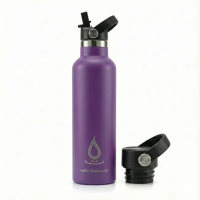 Edelstahl-Wasserflasche 750 ml, lila, isoliert, mit Strohhalm