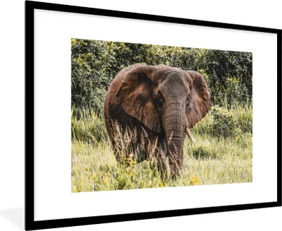 Produktbild von MuchoWow® MuchoWow® Gerahmtes Poster Elefant - Natur - Gras 90x60 cm - Poster mit zchwarzem Bilderrahmen - Wanddekoration - Fotos
