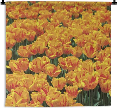 Produktbild von MuchoWow® Wandteppich Wandbehang Orangefarbenes Tulpenfeld 90x90 cm Tapisserie Dekoration Wandtuch - Wandaufhänger