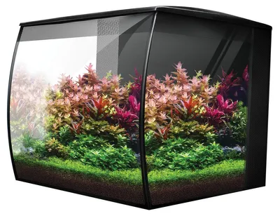 Produktbild von Fluval Flex 2.0, Inhalt: 34 l