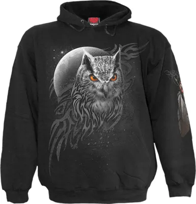 Obrázek produktu pro Spiral - Wings Of Wisdom - Mikina s kapucí