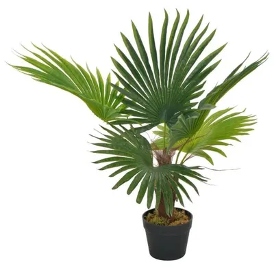 Image de Palmier artificiel avec pot - 70 cm. Plante décorative artificielle, aspect réaliste, facile d'entretien, pour intérieur. Idéal pour la décoration de la maison et du bureau. Couleur : vert armée