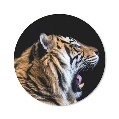 Produktbild von MuchoWow® Mauspad Mousepad Tiger - Tiere - Porträt 40x40 cm - Mousepads - Maus Mat - Pad - Mausunterlage - Schreibtisch Accessoires