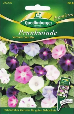 Produktbild von Prunkwinden Summer Sky Mix | Windensamen von Quedlinburger