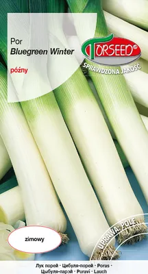 Produktbild von Blaugrüner Lauch Samen Winter 1g - Torseed