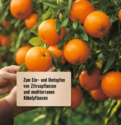 Produktbild von Kübelpflanzenerde & Zitruspflanzenerde FloraSelf Select 40 L
