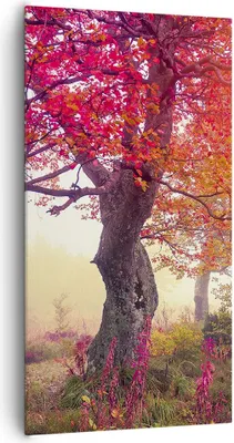 Produktbild von Bild auf Leinwand - Leinwandbild - Baum Natur Wiese - 65x120cm - Wand Bild - Wanddeko - Wandbilder - Leinwanddruck - Bilder - Kunstdruck - Wanddekoration - Leinwand bilder - Wandkunst - PA65x120-3658
