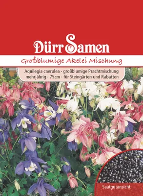 Produktbild von Großblumige Akelei Mischung | Akeleiensamen von Dürr Samen