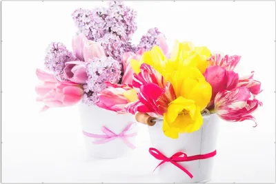Produktbild von Wallario Wandbild Zwei Blumen-Bouquets aus gelben und roten Tulpen und Flieder, Größe: 61 x 91,5 cm, Poster mit rahmenlosen Bildhalter
