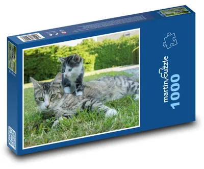 Zdjęcie produktu dla Puzzle 1000 Młoda kotka z mamą - martinpuzzle