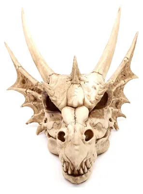 Image de Solidchoice - Décoration murale représentant un crâne de dragon