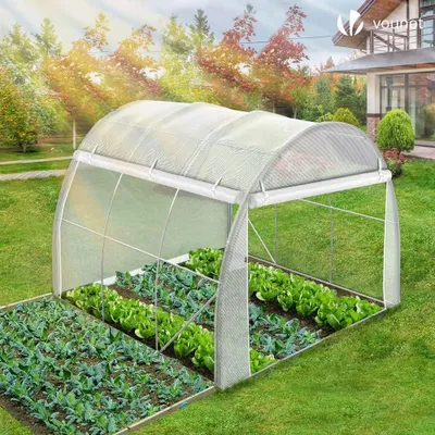 Produktbild von Frostbeständiger Tomatenschutz 3x2x2m weiß grün