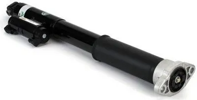 Image de Amortisseur pneumatique ARNOTT EUROPE SK-3389