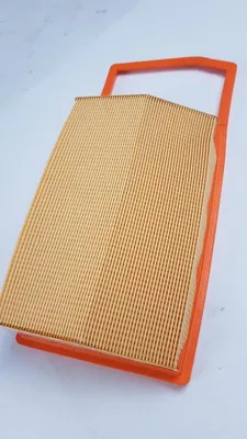 Produktbild von Original OE Peugeot Luftfilter 1631689980