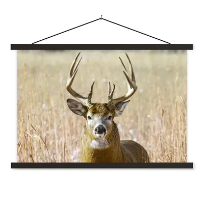 Produktbild von MuchoWow® Textilposter Hirsche - Gras - Herbst - Tiere - Natur - Geweih 60x40 cm mit schwarzem Rahmen - Hölzernes