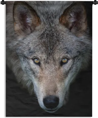 Produktbild von MuchoWow® Wandteppich Wandbehang Wolf - Porträt - Schwarz 60x80 cm Tapisserie Dekoration Wandtuch - Decke - Wandtücher - Wohne