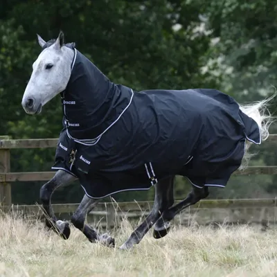 Produktbild von Bucas Halsteil 0g Trot Neck Black/White 125