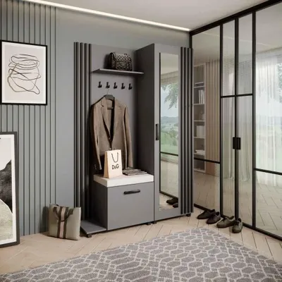 Image de Armoire LIVIA – Ensemble vestiaire avec miroir et cintres, graphite, lamelles noires, coussin d'assise beige clair, gauche