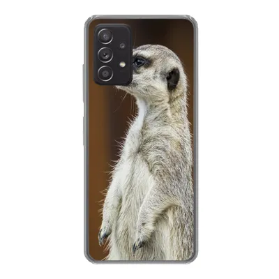 Produktbild von MuchoWow® Handyhülle Schutzhülle Hülle für Samsung galaxy a73 Erdmännchen - Tier - Spiel Silikon Softcase Handy Hülle - Handyhülle