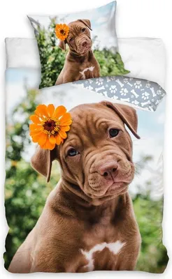 Produktbild von Baumwollbettwäsche 140x200 Labrador Hund