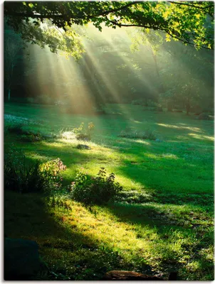 Produktbild von ARTland Leinwandbild Lichtkegel Größe: 30x40 cm