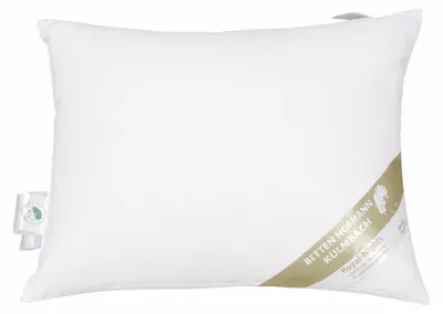 Produktbild von Hofmann Kopfkissen Daunenkissen Kuschelkissen 40x50 100% neue Daunen 250 g prall
