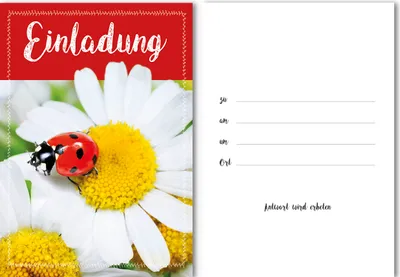 Produktbild von Einladung (5 Stück) –Gänseblümchen - Karte mit Umschlag