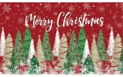 Image de Paillasson de Noël, tapis de porte antidérapant, lavable, imitation lin, dimensions : 50 x 80 cm ou 40 x 80 cm
