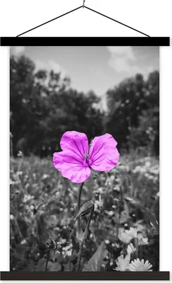 Produktbild von MuchoWow® Textilposter Blumen - Flieder - Schwarz - Weiß 120x180 cm mit schwarzem Rahmen - Fotos