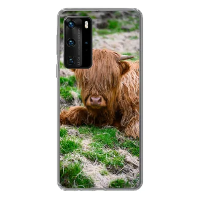 Produktbild von MuchoWow® Handyhülle Schutzhülle Hülle für Huawei P40 Pro Schottischer Highlander - Heu - Gras Silikon Softcase Handy Hülle - Schutz