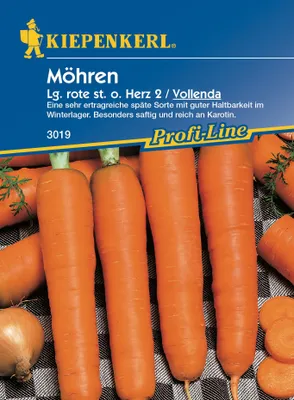 Produktbild von Möhre Vollenda | Möhrensamen von Kiepenkerl