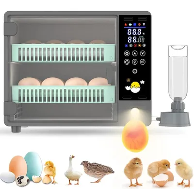 Zdjęcie produktu dla Maszyna do inkubacji jaj – 24 jaja – w pełni automatyczna – panel dotykowy – regulacja temperatury – do jaj kurzych – wtyczka zgodna z normami UE