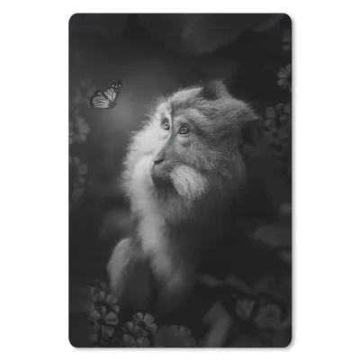 Produktbild von MuchoWow® Mauspad Mousepad Porträt eines Affen und eines Schmetterlings im Dschungel - schwarz und weiß 18x27 cm - Mousepads - Maus Mat - Pad - Mausunterlage