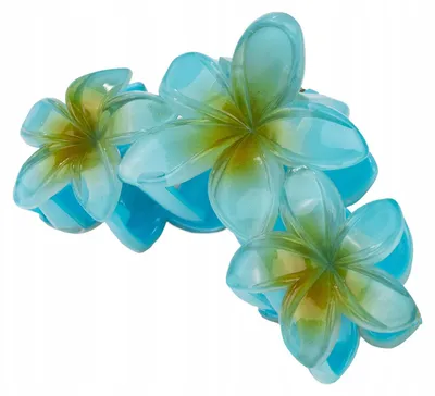Produktbild von Miss Glow Große Hawaii Blumen Haarklammer Plumeria
